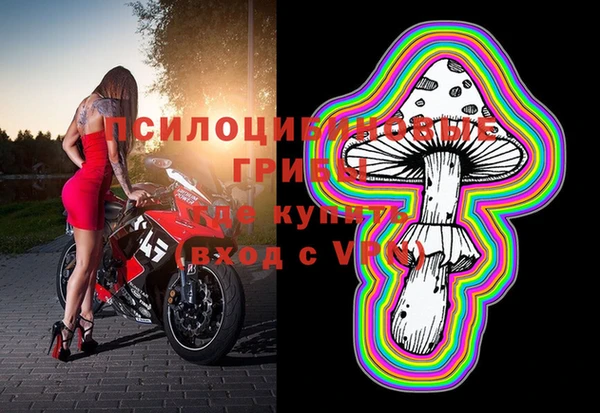 спайс Инта