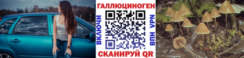Псилоцибиновые грибы Cubensis Купить Дмитровск